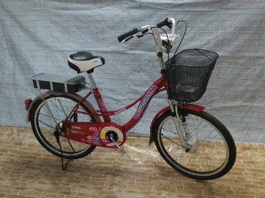 จักรยานไฟฟ้า จักรยานไฟฟ้า