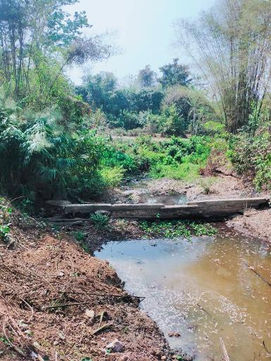 สวนสมุนไพร สวนสมุนไพร