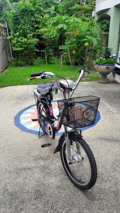 จักรยานไฟฟ้า จักรยานไฟฟ้า