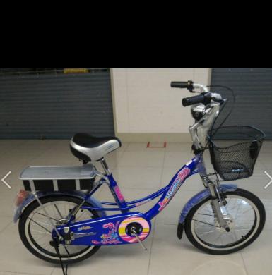 จักรยานไฟฟ้า จักรยานไฟฟ้า